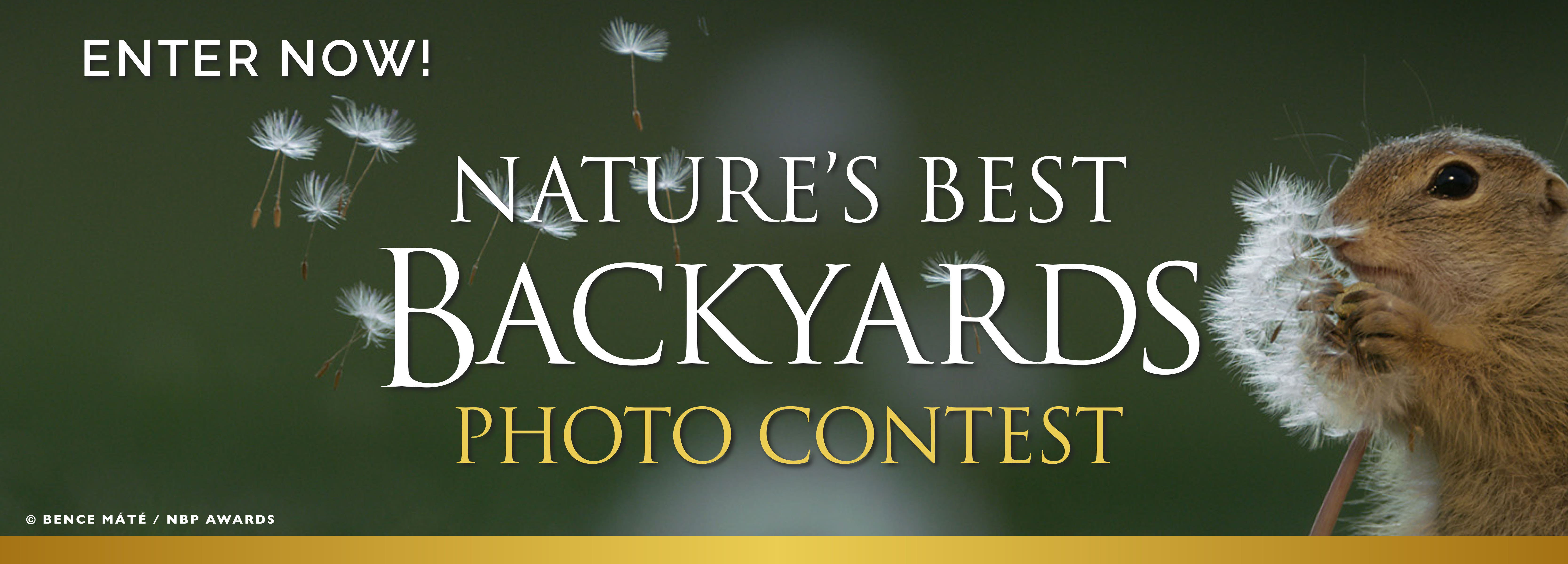 Nature's Best Backyards Photo Contest